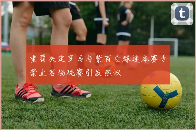 重罚决定罗马与紫百合球迷本赛季禁止客场观赛引发热议