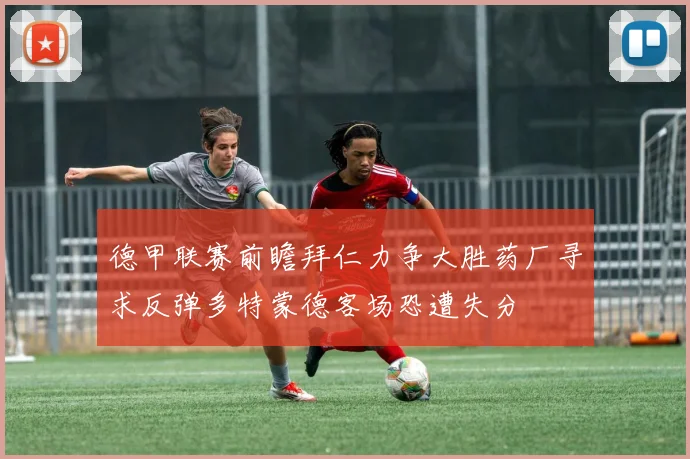 德甲联赛前瞻拜仁力争大胜药厂寻求反弹多特蒙德客场恐遭失分