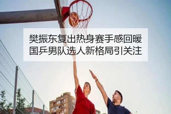 樊振东复出热身赛手感回暖 国乒男队选人新格局引关注（LDSPORTS）
